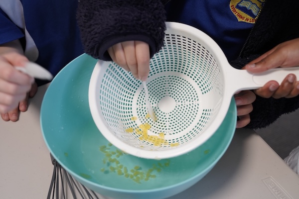 Students making pearls